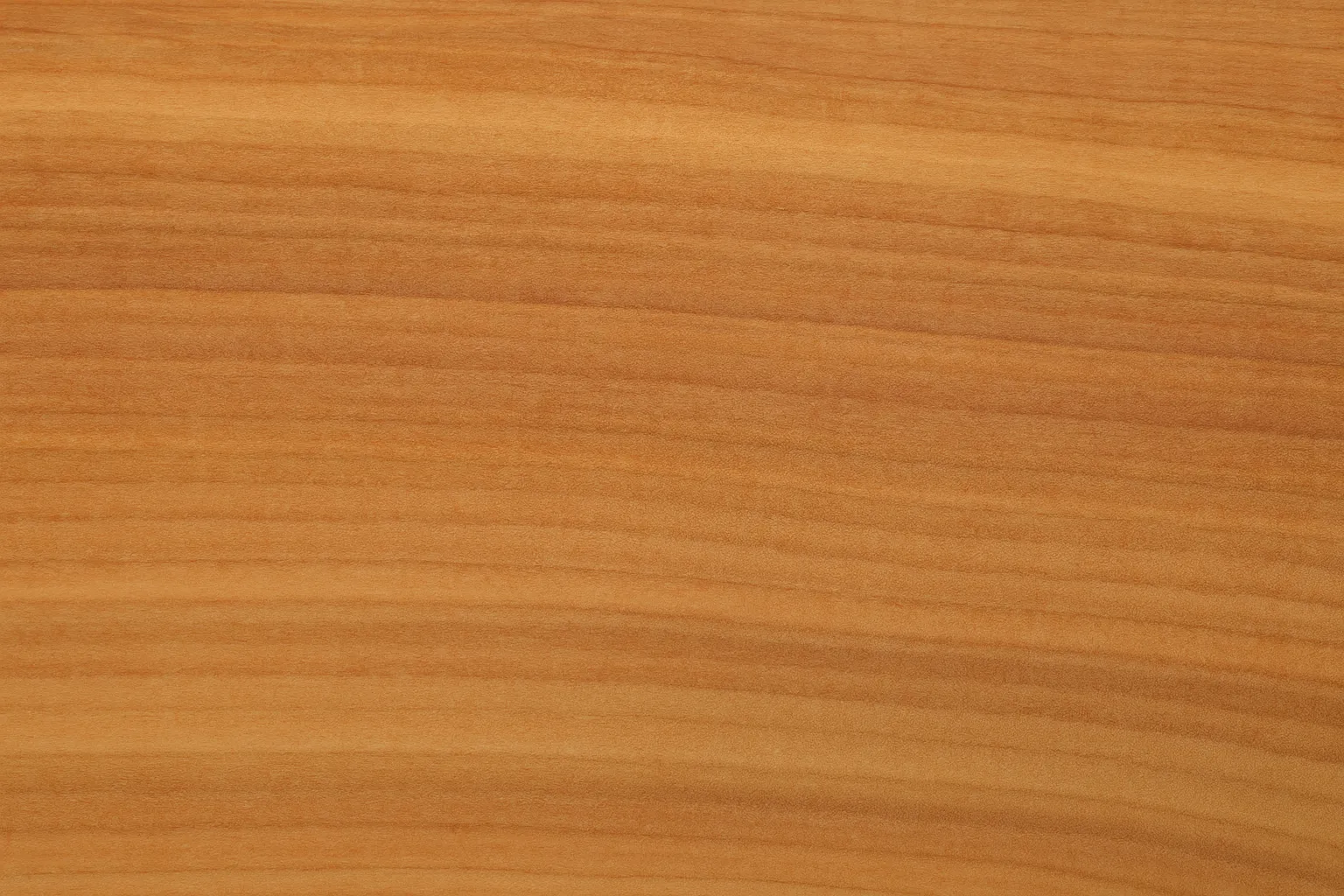meyanmar-red-cedar-1